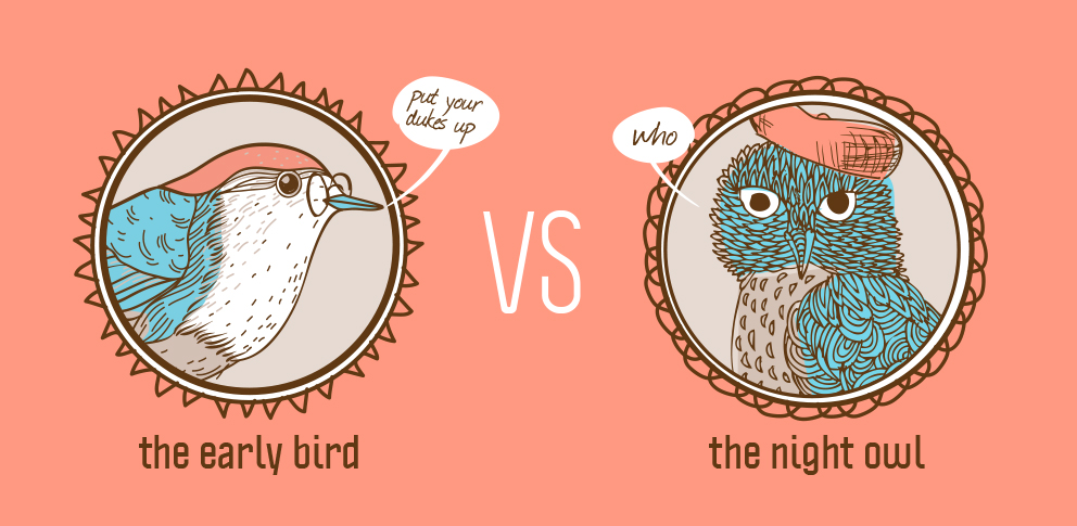 Early bird vs Night Owl: Consejos de Estudio